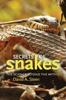 bokomslag Secrets of Snakes