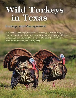 bokomslag Wild Turkeys in Texas