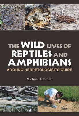 The Wild Lives of Reptiles and Amphibians 1