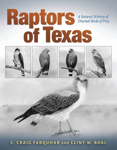 Charles Craig Farquhar - Raptors of Texas, Inbunden