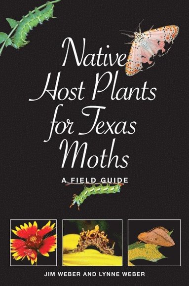 bokomslag Native Host Plants for Texas Moths