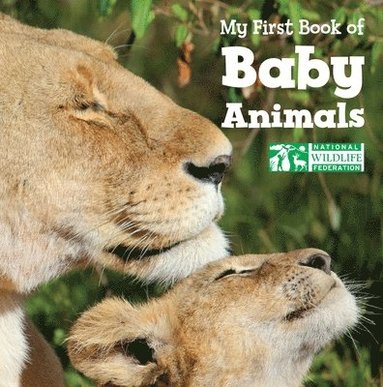 bokomslag My First Book of Baby Animals (National Wildlife Federation)