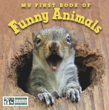 bokomslag My First Book of Funny Animals (National Wildlife Federation)