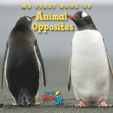 bokomslag My First Book of Animal Opposites (National Wildlife Federation)