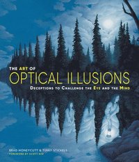 bokomslag The Art of Optical Illusions