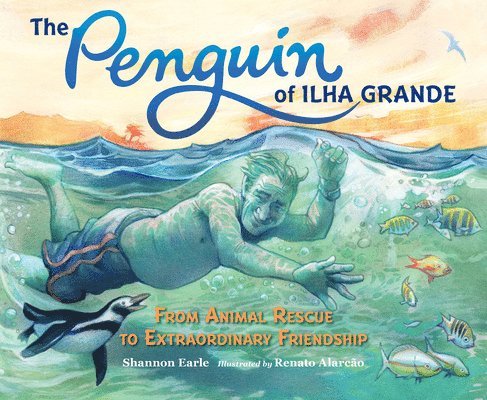 The Penguin of Ilha Grande 1