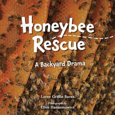 bokomslag Honeybee Rescue