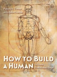 bokomslag How to Build a Human