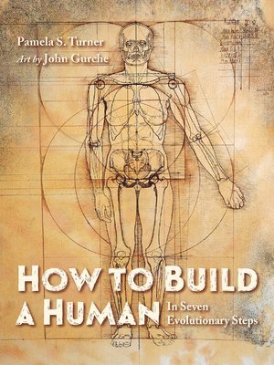 Pamela S. Turner, John Gurche, Pamela S Turner - How to Build a Human, Inbunden