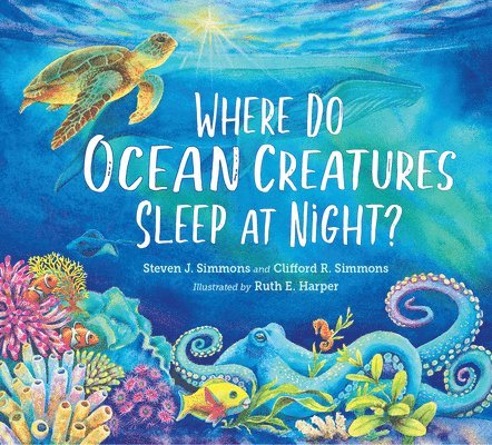 Where Do Ocean Creatures Sleep at Night? 1