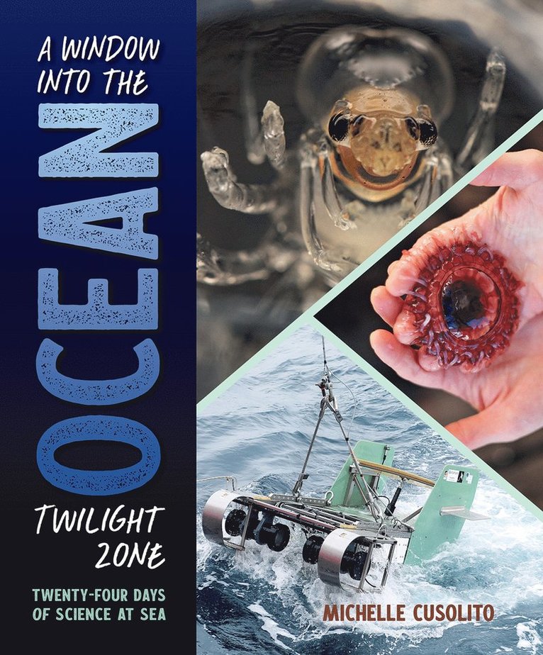Michelle Cusolito - Window into the Ocean Twilight Zone, Inbunden
