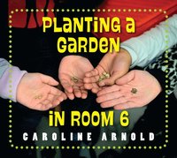 bokomslag Planting a Garden in Room 6