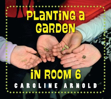 bokomslag Planting a Garden in Room 6