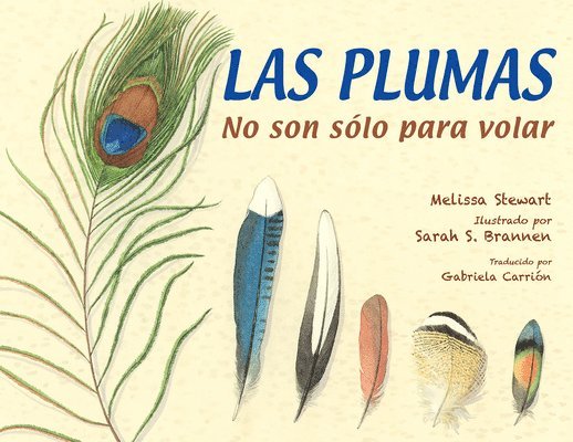 Las plumas 1