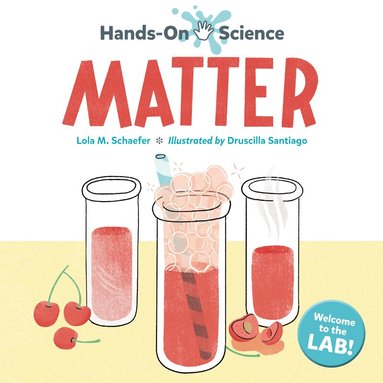 Lola M. Schaefer, Druscilla Santiago - Hands-On Science: Matter, Häftad