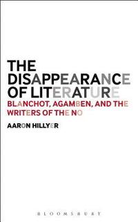 bokomslag The Disappearance of Literature