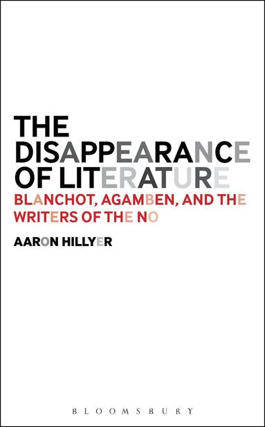 bokomslag Disappearance of Literature