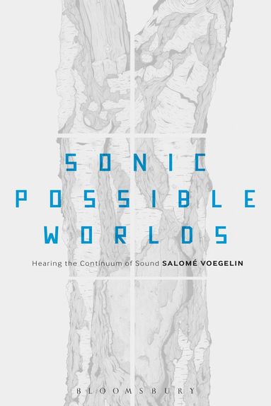 bokomslag Sonic Possible Worlds