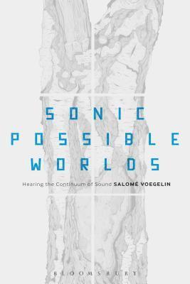 Sonic Possible Worlds 1