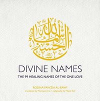 bokomslag Divine Names
