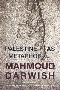 bokomslag Palestine as Metaphor
