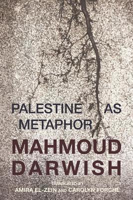 bokomslag Palestine as Metaphor