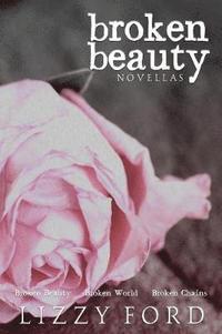 bokomslag Broken Beauty Novellas