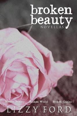 Broken Beauty Novellas 1