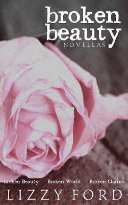 bokomslag Broken Beauty Novellas