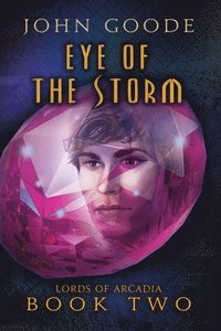 bokomslag Eye of the Storm