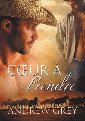 Andrew Grey - Cœur à prendre, Häftad