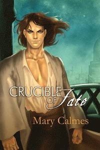 bokomslag Crucible of Fate Volume 4