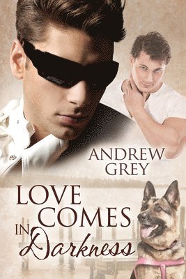 Andrew Grey - Love Comes in Darkness, Häftad