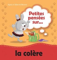 bokomslag Petites penses sur la colre