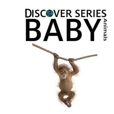 bokomslag Baby Animals