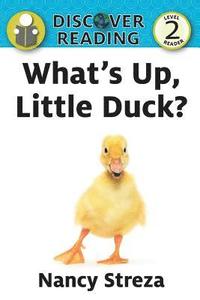 bokomslag What's Up Little Duck