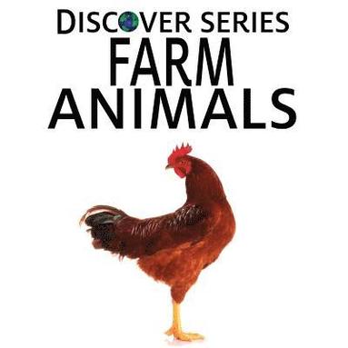 bokomslag Farm Animals