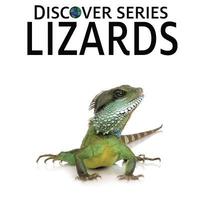 bokomslag Lizards