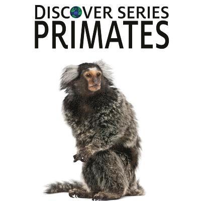 Primates 1