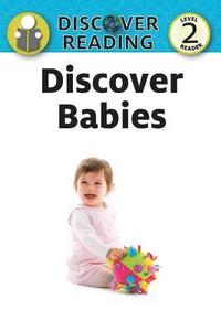 bokomslag Discover Babies