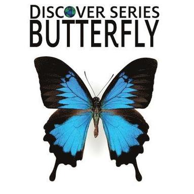 bokomslag Butterfly