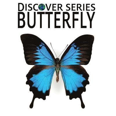 Butterfly 1