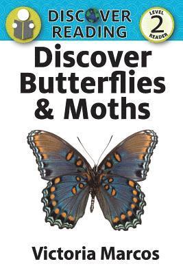 Discover Butterflies & Moths 1