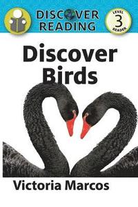 bokomslag Discover Birds