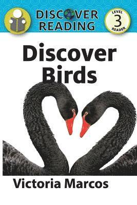 Discover Birds 1