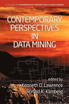 bokomslag Contemporary Perspectives in Data Mining