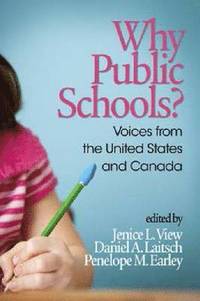 bokomslag Why Public Schools?