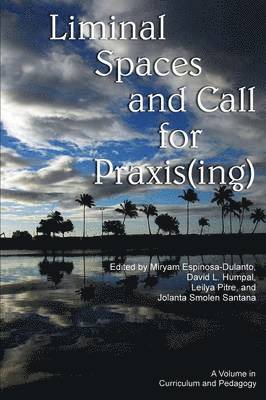 Liminal Space and Call for Praxis(ing) 1