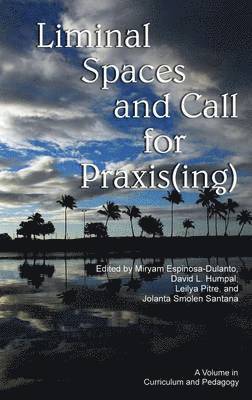 Liminal Space and Call for Praxis(ing) 1