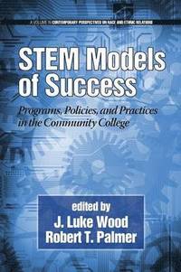bokomslag STEM Models of Success